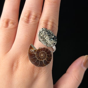 Könnte beinhalten: Ein Ring mit zwei markanten Elementen: einem polierten, spiralförmigen braunen Ammoniten-Fossil und einer texturierten, goldfarbenen Pyrit-Gruppe. Beide Teile sind auf einer silberfarbenen Ringschiene befestigt, die den Finger umschließt.