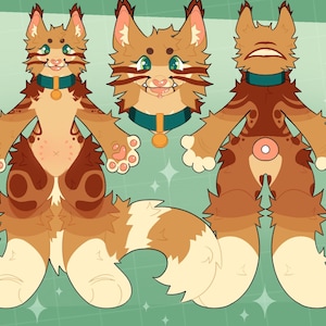 May include: Digital artwork of a cartoon cat character in three poses: front, head, and back. The cat has brown and tan fur with a white-tipped tail, green eyes, and a blue collar with a gold tag. The text "BASE BY Foxmaws!!" is in the lower left corner.