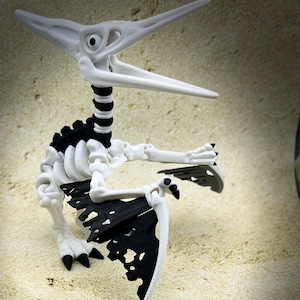 3D Printed Articulated Pteranodon Skeleton – Poseable Dino Fossil Figurine, Desk Decor