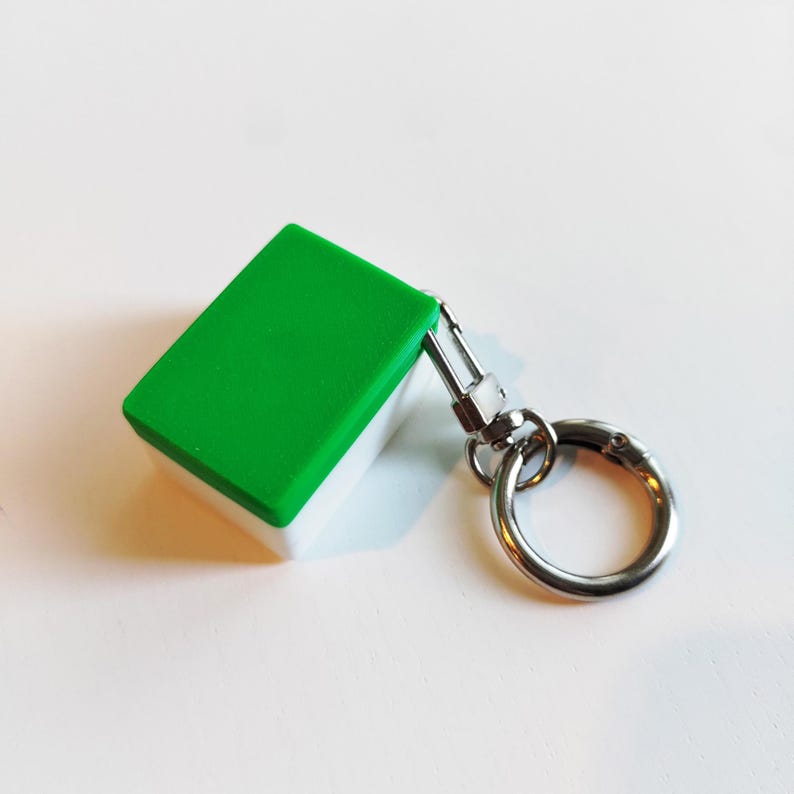Pu&ograve; includere: Un portachiavi rettangolare verde e bianco con un moschettone e un anello color argento. Il portachiavi ha una parte superiore verde brillante e una base bianca. L'hardware in metallo &egrave; lucido e attaccato al portachiavi.