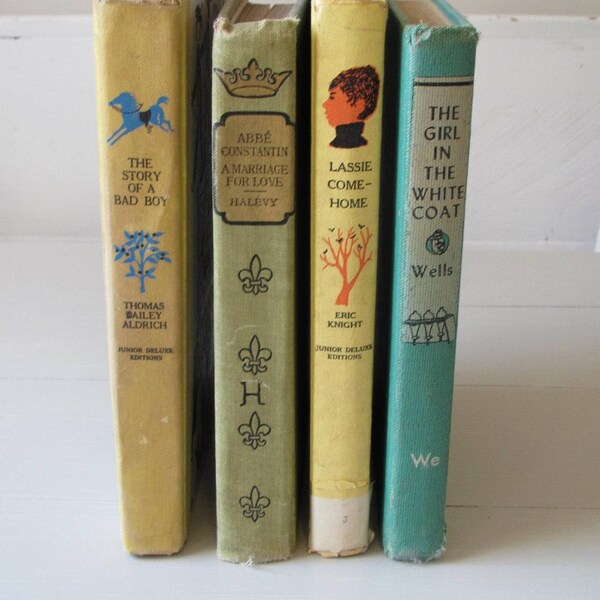 Bundled Stack of Whimsical Vintage Books