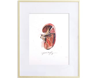 8x10 "Purify" Anatomical Kidney Print