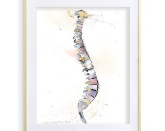 11x14  Spine Anatomy Print