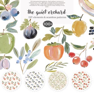 Op de afbeelding: Waterverfillustraties van fruit en patronen, waaronder appels, bosbessen, kaki's en bananen. De tekst "the quiet orchard" en "DIY elements & seamless patterns" zijn ook aanwezig, samen met het nummer "100+".