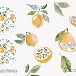 May include: Watercolor illustrations of lemons, blueberries, and leaves. The image includes whole and sliced lemons, sprigs, and two circular patterns. The text at the bottom reads "3 patterns. Each pattern comes in 2 versions (12" x 12", 300 dpi)..."