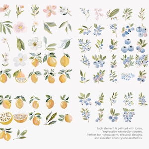 May include: Watercolor illustrations of lemons, blueberries, flowers, and leaves in various arrangements. The image includes text that reads: "Each element is painted with loose, expressive watercolor strokes. Perfect for rich patterns, seasonal designs, and elevated countryside aesthetics."