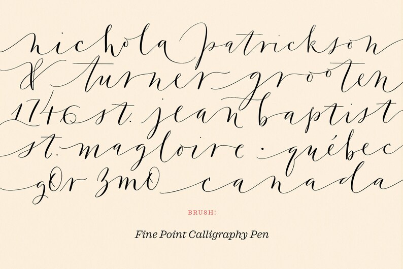 Calligraphy Nibs Procreate Brush Pack iPad Lettering Brushes Digital