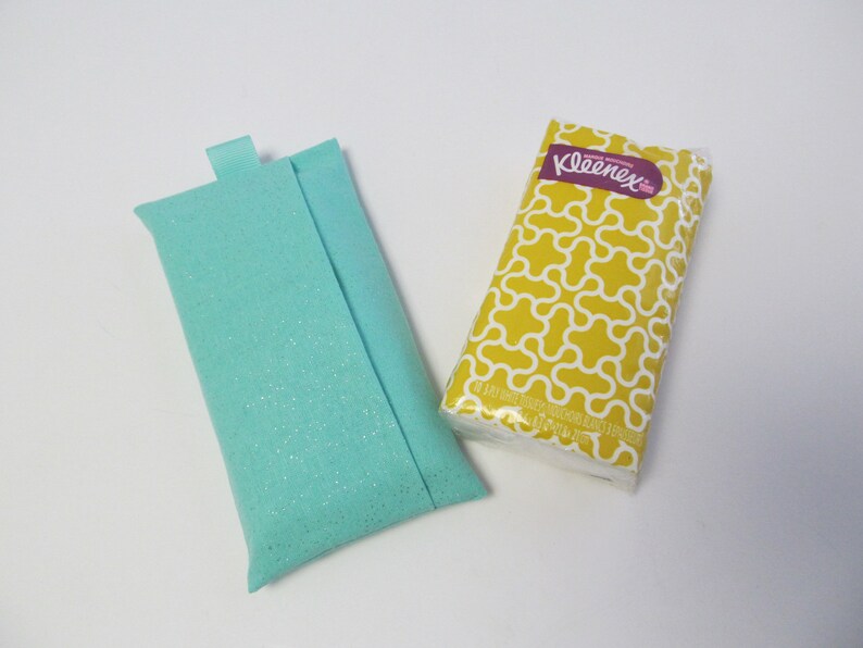 Tissue CaseSilver Glitter On Mint