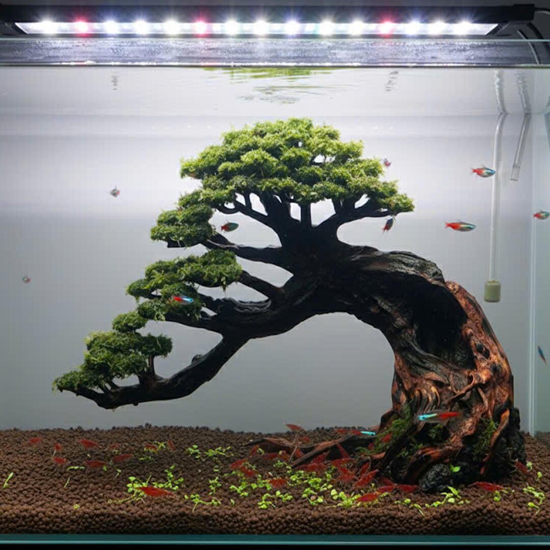 Bonsai Driftwood, Aquascape Bonsai, Aquascaping, Aquarium Decoratio - Etsy
