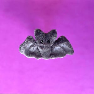 Tasche Bat Plüsch Stofftier Sensory Spielzeug Schmuckstück
