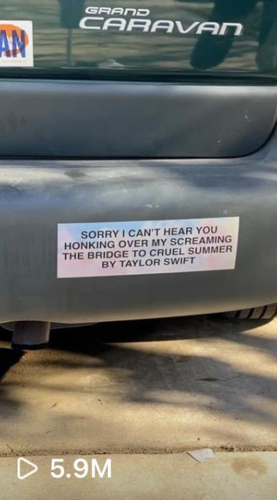 Sorry I Can't Hear You Honking Bumper Sticker Cruel Vinyl Summer