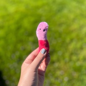 May include: A small, plush worm toy in shades of pink and red. The worm has a rounded head with two small black eyes and a segmented body. The toy is held against a blurred green background.
