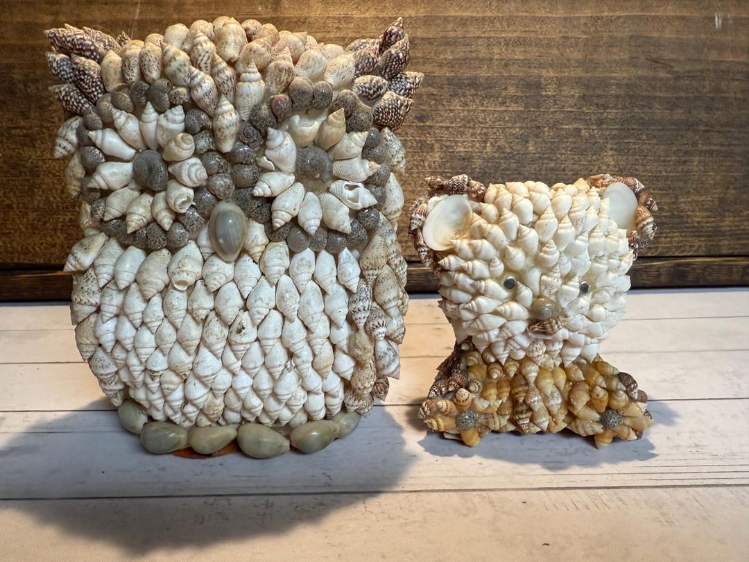 Shell Owl Vintage Art Sea Shell Owl & Teddy Bear - Etsy