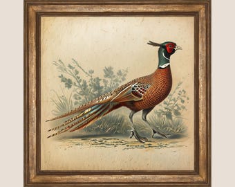 Vintage Pheasant Printable Wall Art - Rustic Wildlife Decor - Antique Bird Illustration - Hunting Cabin Art - Botanical Pheasant Digital