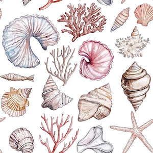 Op de afbeelding: Waterverfillustratie van diverse schelpen en koraal in tinten wit, roze en bruin op een witte achtergrond. Het ontwerp bevat een zeester, spiraalschelpen en vertakt koraal, wat een nautisch thema creëert.