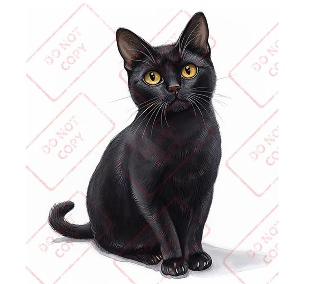Cat Kitty Bombay - Digital Download - Watercolor Clip Art Illustration ...
