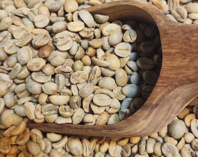Featured listing image: Bulk Arabica Coffee Beans – Green or Roasted – Chiapas, Mexico – Wholesale & Geisha