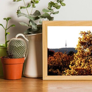 May include: A framed landscape photograph featuring a view of a distant tower amidst autumn trees. The trees display vibrant yellow and orange foliage. The frame is made of light-colored wood. Various potted plants are in the foreground.