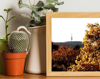 Canberra in the Autumn - fijne fotografie-afdruk - Square Wall Art Photo - Yarralumla - Bush Capital - Black Mountain • Telstra-toren • Herfst