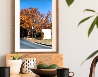 Iconisch bushokje in Canberra - fotografieprint - artwork foto - Canberra Australia ACT - Yarralumla - Australische bushalte • Retrokunst