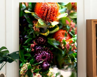 Canberra, Australische inheemse wilde bloemen - Fine Photography Print - fotoposter kunst aan de grote muur - Australië - Botanische bloem Banksia Waratah