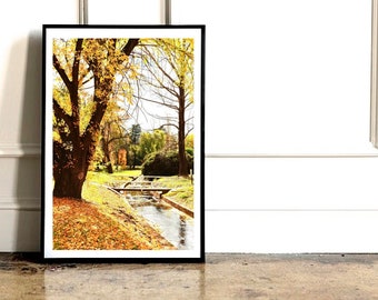 Canberra herfstmiddag - fotografie-afdruk - kunst aan de muur foto - Telopea - Australisch Hoofdstedelijk Territorium - eik herfstbladeren stroom herfst