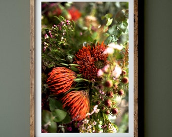 Canberra, Australische inheemse wilde bloemen - Fine Photography Print - fotoposter kunst aan de grote muur - Australië - Botanische bloem Banksia Waratah