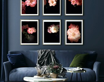 Pioenbloemportretten - florescence-collectie - set van zes (6) pioenrozen rozen Fine Art fotografie-afdrukken - Botanisch roze
