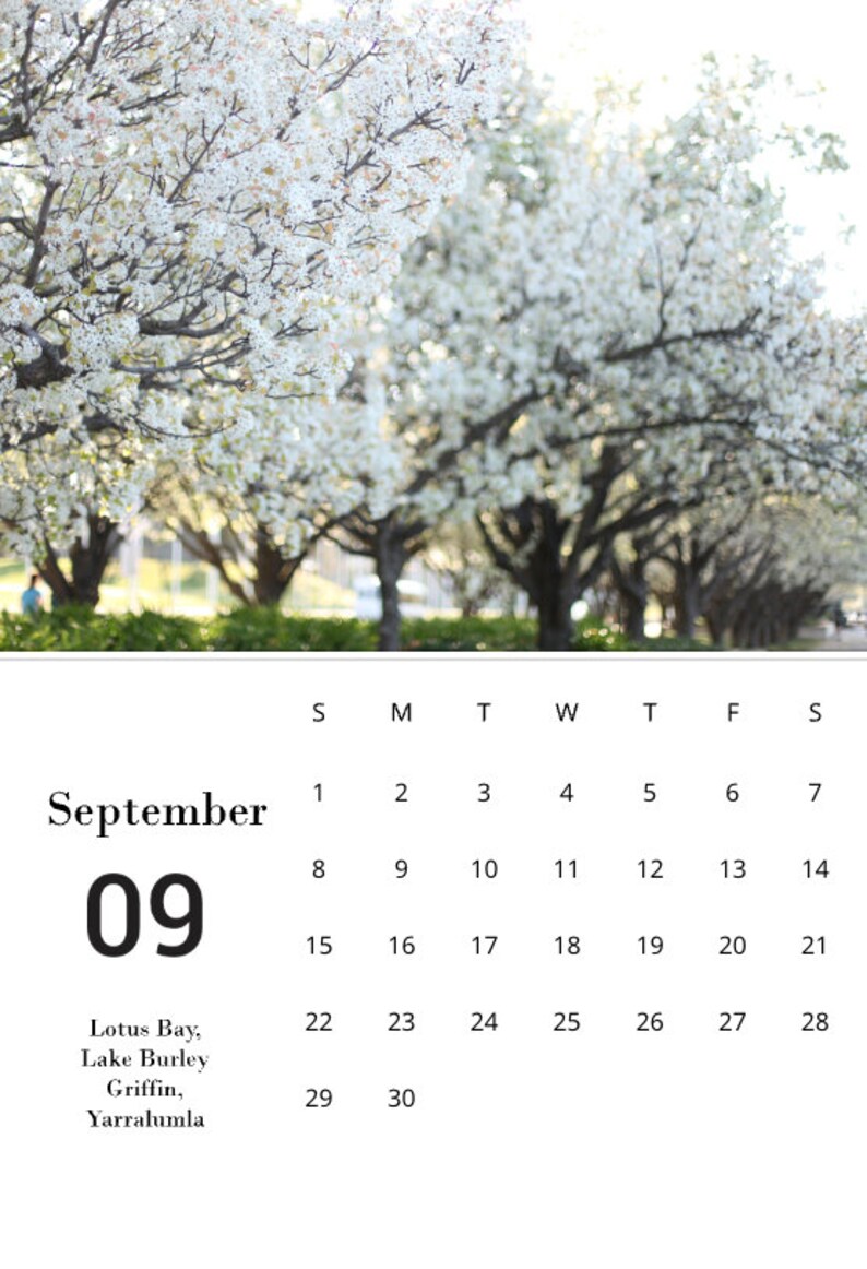 2024 Canberra in Calendar 2024 Natural Wood Stand Calendar Cards
