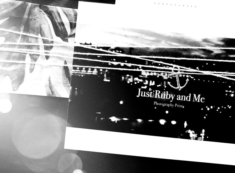 The Young Highland Cow \u2022 Black and White Highland Cattle Photography Print \u2022 Wall Art Photo \u2022 Bundanoon Brigadoon \u2022 Southern Highlands Calf