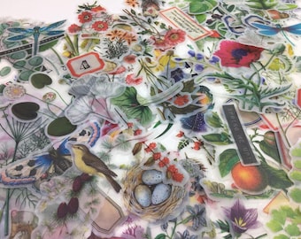 Stickers - Dreaming in Floral