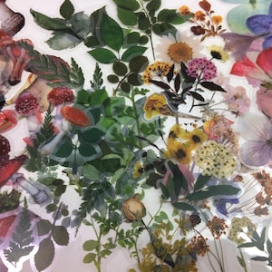 Tout se trouve dans la nature - Stickers botaniques transparents