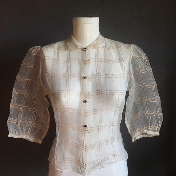 Stunning Sheer, Lurex Grid, Puff Sleeve Blouse