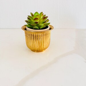 May include: A small, round, metallic gold planter with a vertical ribbed texture. The planter features a flared rim and contains a green succulent plant with reddish-tipped leaves, which is potted in a simple, plain white ceramic inner container.