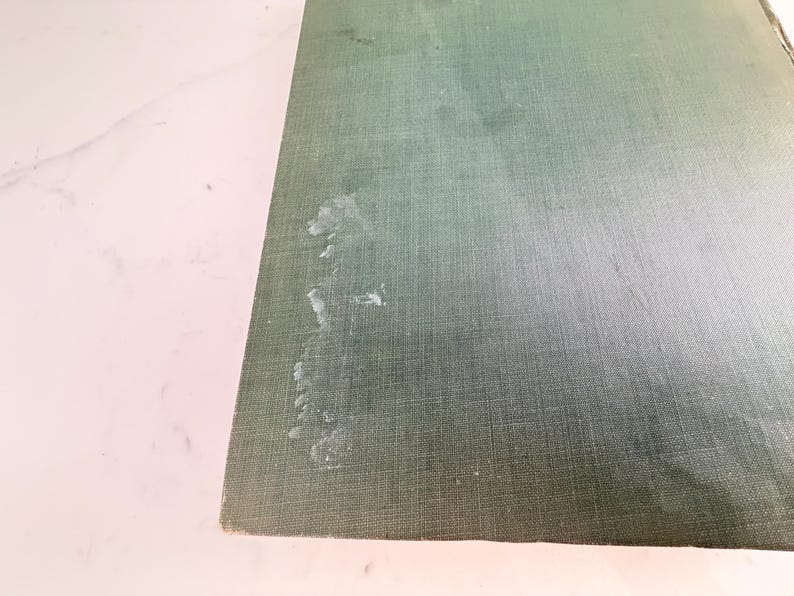 Puede incluir: Primer plano de una secci&oacute;n de la cubierta de un libro. La cubierta es de color verde apagado con un aspecto de tela texturizada. Hay varias manchas blancas en la cubierta. El libro est&aacute; sobre una superficie blanca.