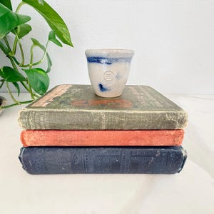 Puede incluir: Una pequeña maceta de cerámica blanquecina con detalles azules se encuentra sobre una pila de tres libros antiguos. Los libros tienen cubiertas envejecidas en verde, coral y azul marino. Una planta verde en maceta está en el fondo.