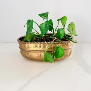 May include: An oval brass planter featuring a decorative rope-style rim and a series of embossed circular and vertical patterns along the exterior. A green pothos plant with heart-shaped leaves is planted inside the metallic container.