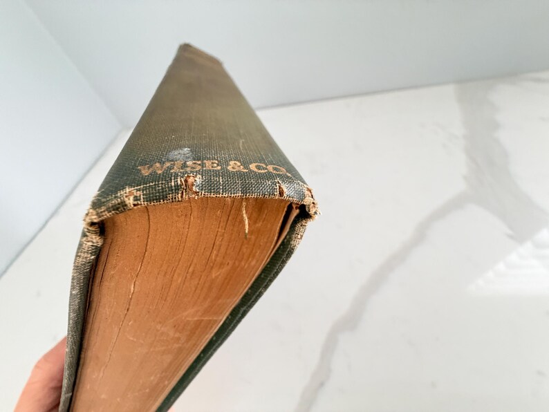Puede incluir: Un libro antiguo con una cubierta verde desgastada y letras doradas que dicen "WISE & CO". Las p&aacute;ginas del libro est&aacute;n envejecidas y tienen un tono marr&oacute;n c&aacute;lido. La cubierta muestra signos de desgaste, lo que aumenta su atractivo vintage.