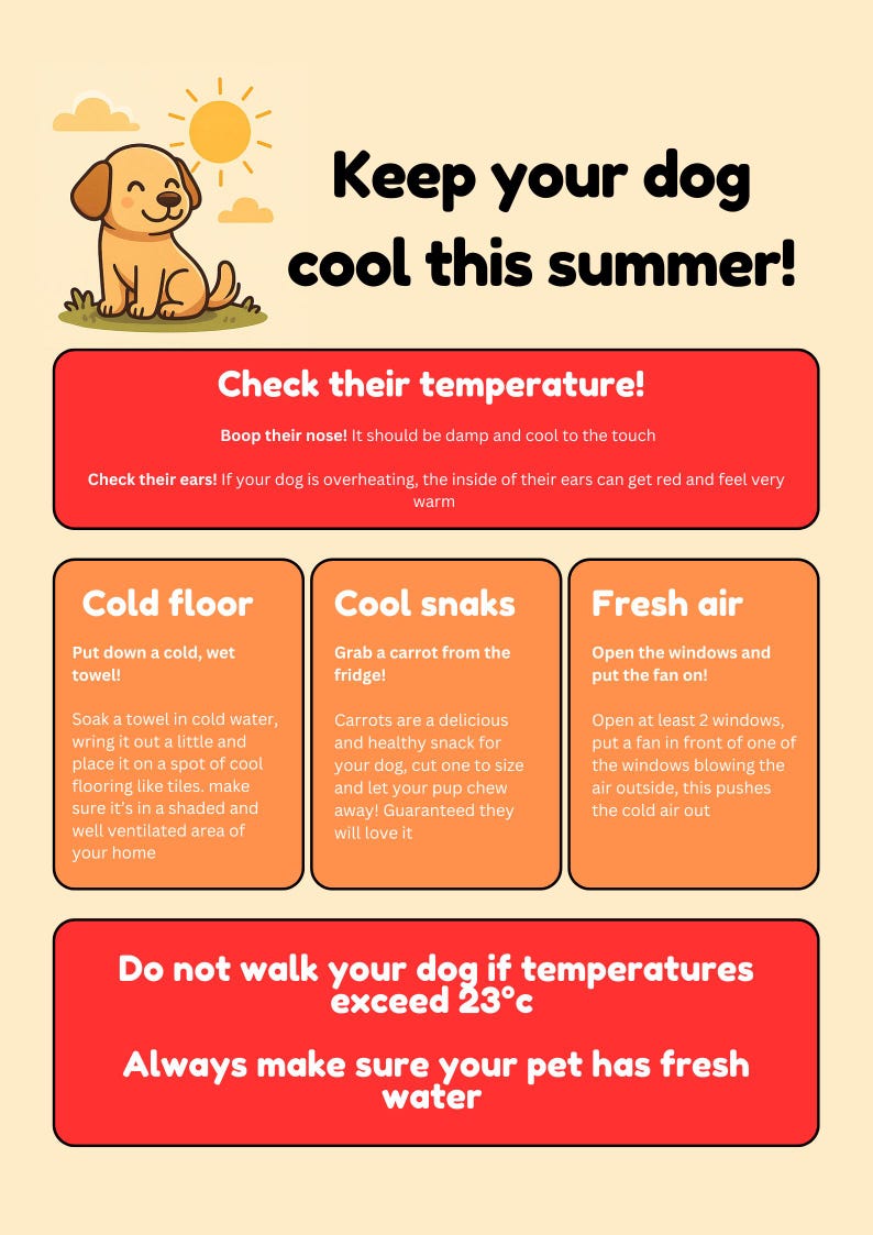 Dog Summer Safety Poster - Printable Pet Heat Tips | Keep Your Dog Cool ...