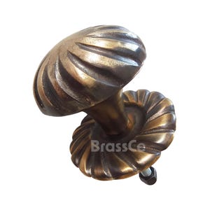May include: A bronze-colored cabinet knob with a spiral design. The knob has a rounded top and a decorative base, with a screw and nut visible. The text "BrassCo" is printed on the base.