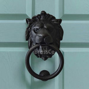 Puede incluir: Un aldaba de puerta con forma de cabeza de león negra con un asa redonda. La aldaba está montada en una puerta azul claro. El texto "BrassCe" es visible en la aldaba.