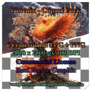 Professionele Phoenix-clipart – hoogwaardige 6 mythische vuurvogelontwerpen – PNG- en SVG-bestanden met transparante achtergrond – digitale afbeeldingen