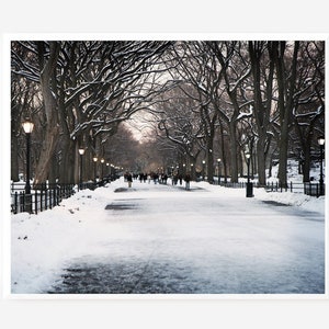New York City Print, Winter Photography, Central Park Photo, Literary Walk Promenade, Poets Walk Art, Snowy Landscape, Winter in NYC Picture image 6