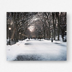 New York City Print, Winter Photography, Central Park Photo, Literary Walk Promenade, Poets Walk Art, Snowy Landscape, Winter in NYC Picture image 3