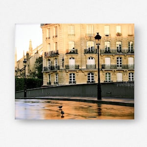 May include: A photograph of a Parisian street scene featuring a multi-story beige stone building with black wrought iron balconies and numerous windows. A tall black lamppost stands near a wet, reflective pavement where two small birds are walking.