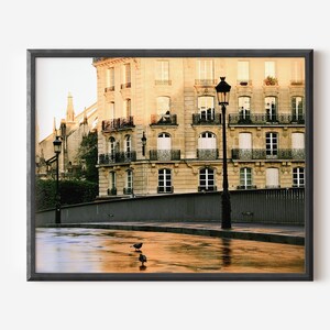 May include: A framed wall art print depicting a Parisian street scene with a beige stone building, black wrought iron balconies, and two black street lamps. Two pigeons stand on a wet, reflective pavement in the foreground under warm light.