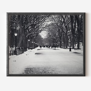 New York City Winter Print, Black and White Photography, Literary Walk Picture, Central Park Snow Photo, Winter Wall Art, Urban Landscape image 1
