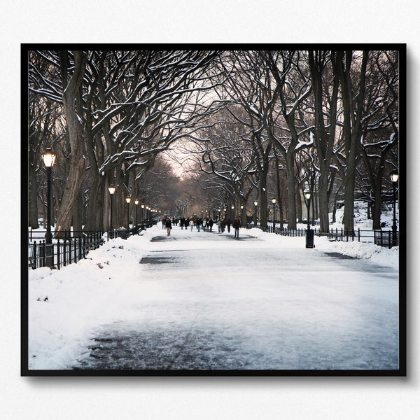 New York City Print, Winter Photography, Central Park Photo, Literary Walk Promenade, Poets Walk Art, Snowy Landscape, Winter in NYC Picture