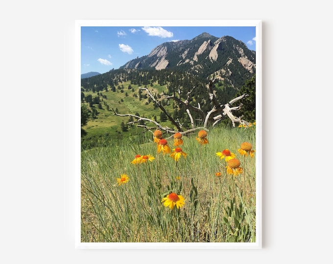 Flatirons Photography, Boulder Colorado Print, Summer Mountain Art, Yellow Flowers and Green Field, Colorado Photography, Wildflower Picture