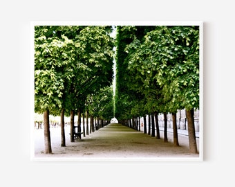 Paris Photography, Palais Royal Print, Garden Photograph, Parisian Landscape, Emerald Green Wall Art, Elegant French Decor, Paris Tree Print